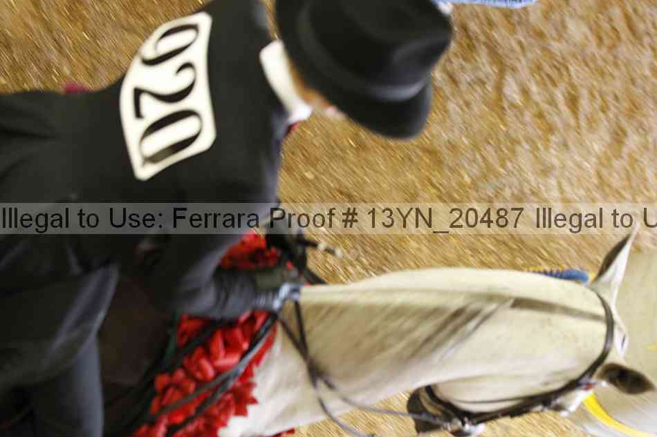 Proof Number 13yn_20487