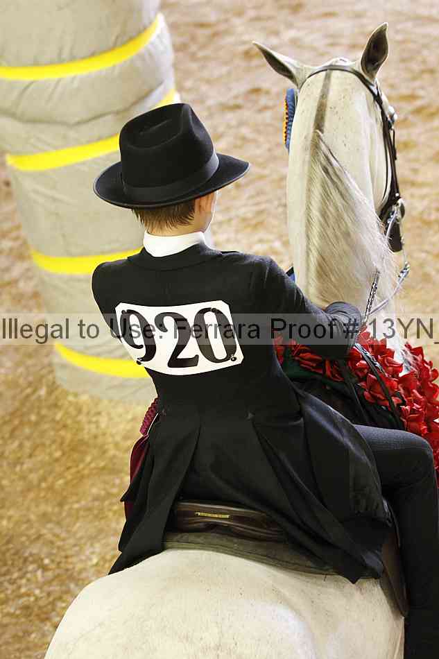 Proof Number 13yn_20488