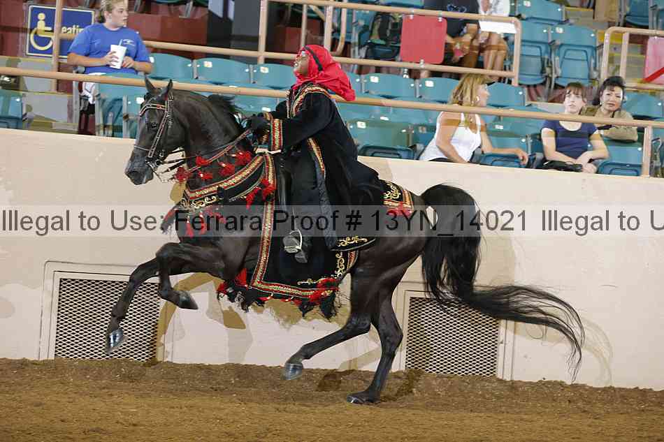 Proof Number 13yn_14021