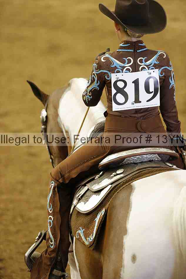 Proof Number 13yn_03303