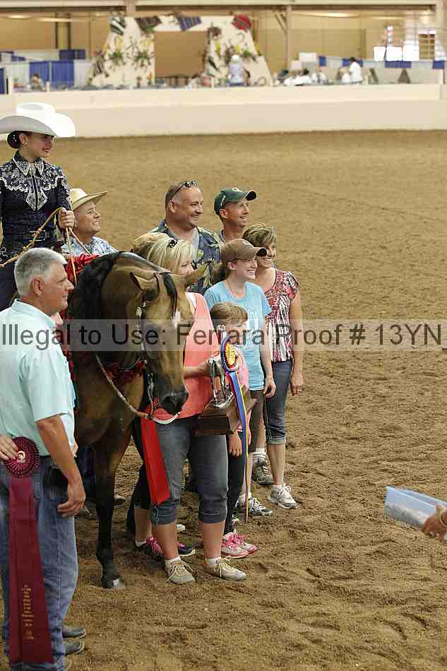 Proof Number 13yn_03407