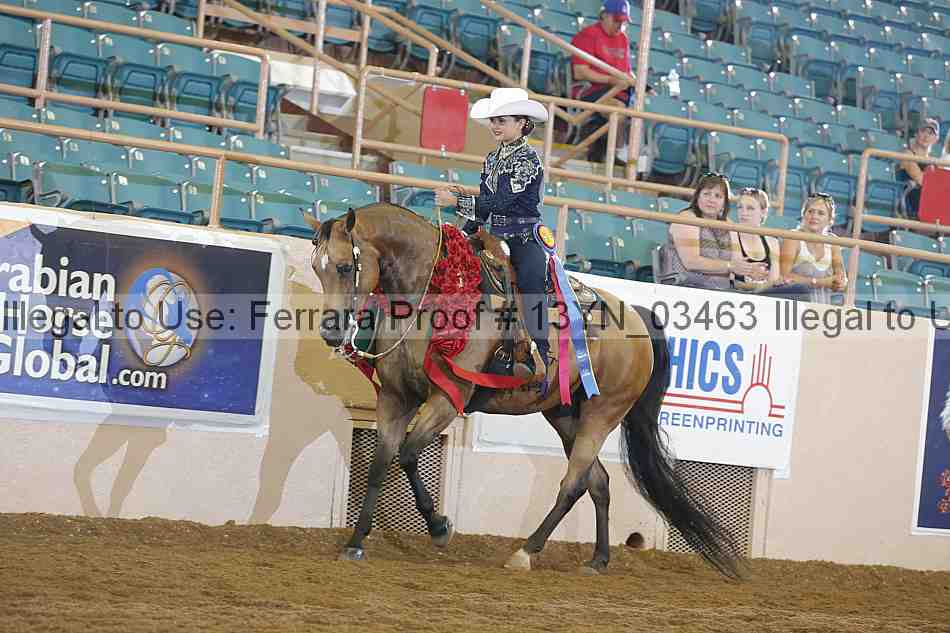 Proof Number 13yn_03463