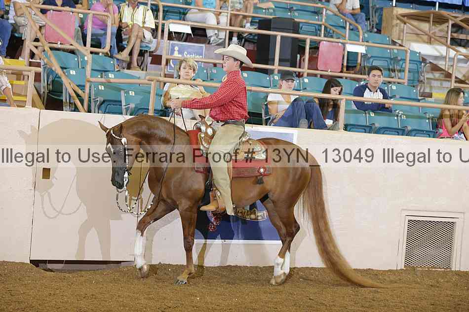 Proof Number 13yn_13049