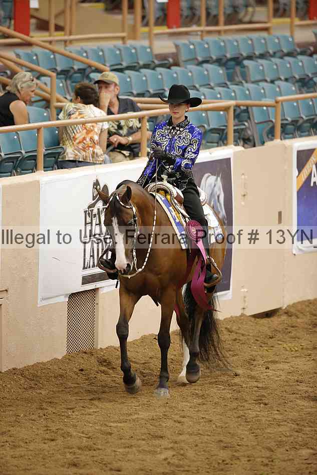 Proof Number 13yn_13097