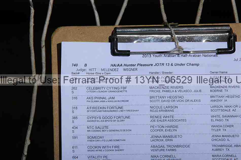 Proof Number 13yn_06529