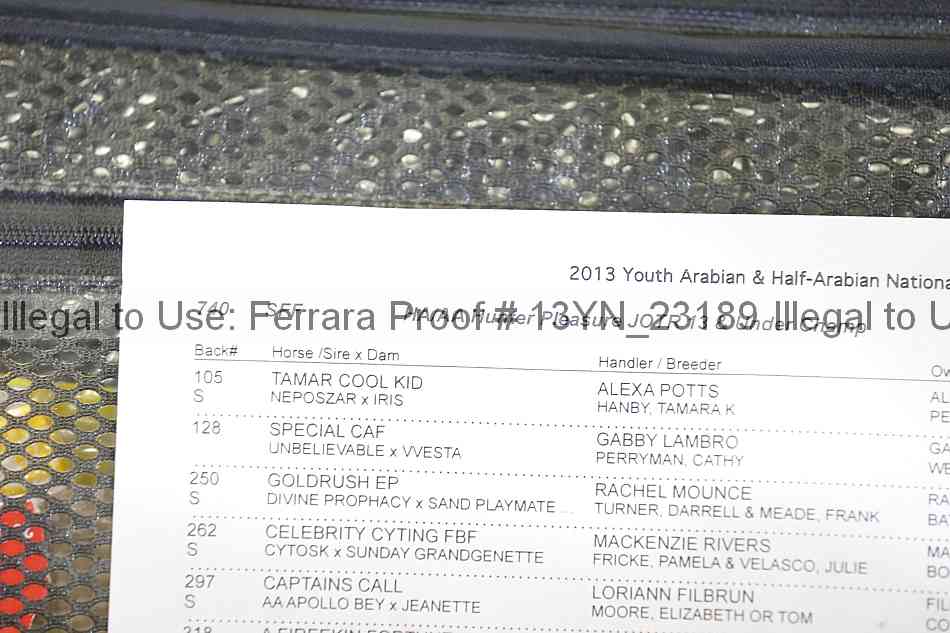 Proof Number 13yn_23189