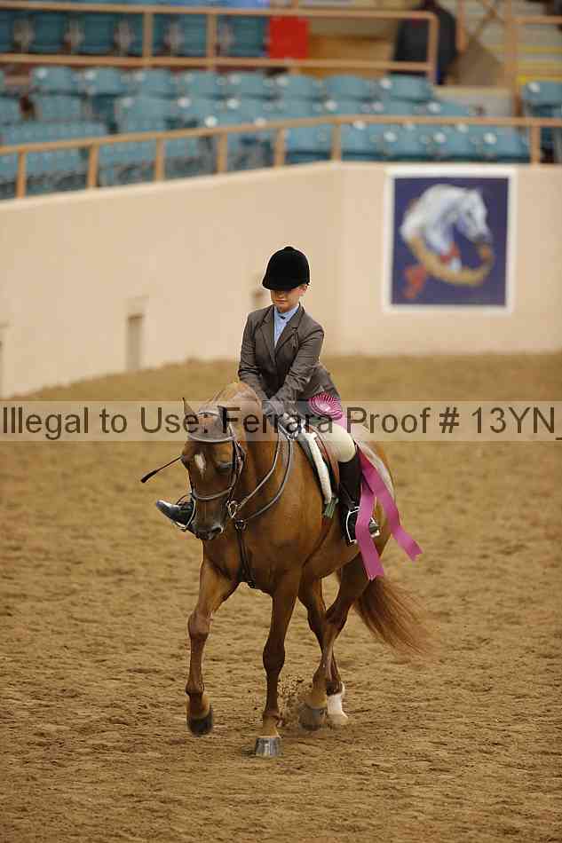 Proof Number 13yn_23327