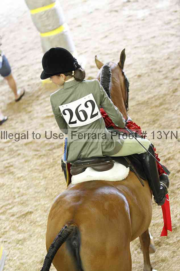 Proof Number 13yn_23352