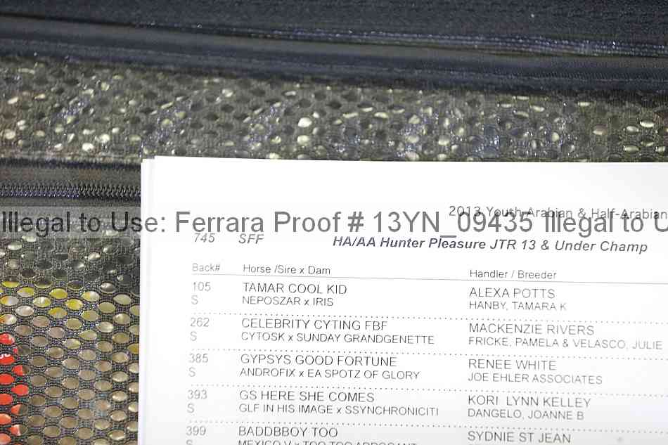 Proof Number 13yn_09435