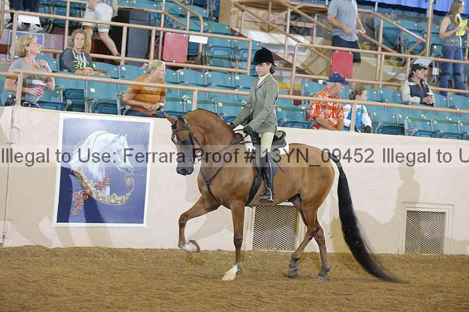 Proof Number 13yn_09452