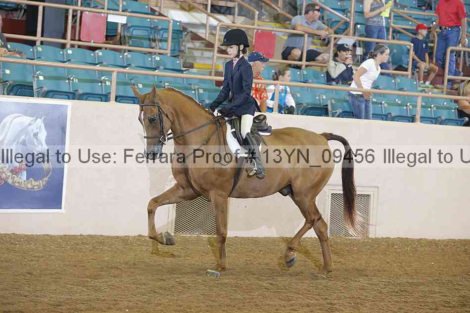 Proof Number 13yn_09456