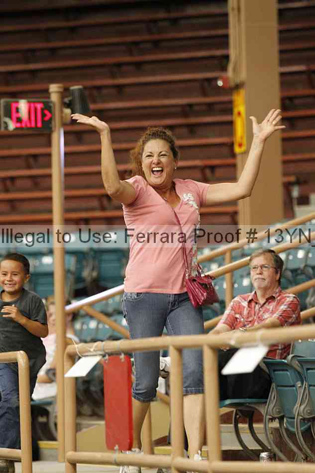 Proof Number 13yn_09504