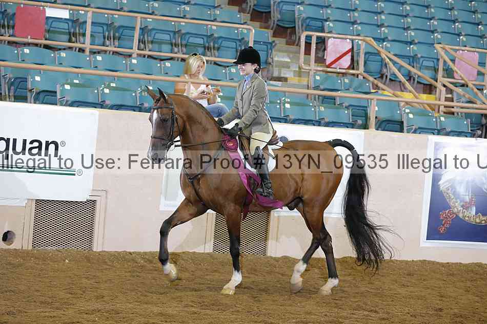Proof Number 13yn_09535