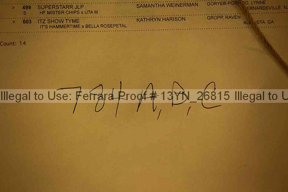 Proof Number 13yn_26815