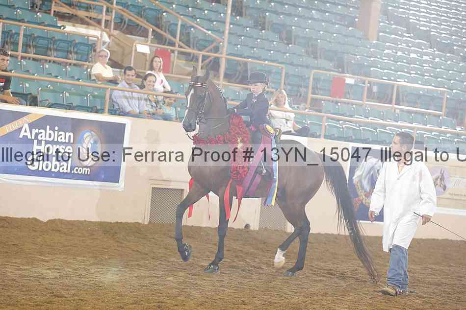Proof Number 13yn_15047