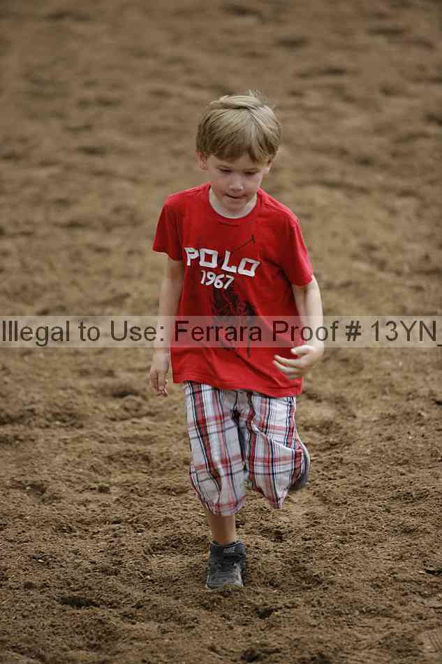 Proof Number 13yn_14323