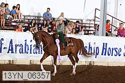 13yn_06357 thumbnail