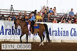 13yn_06366 thumbnail