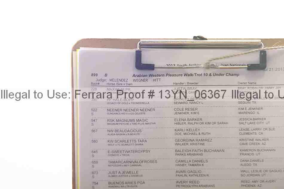 Proof Number 13yn_06367