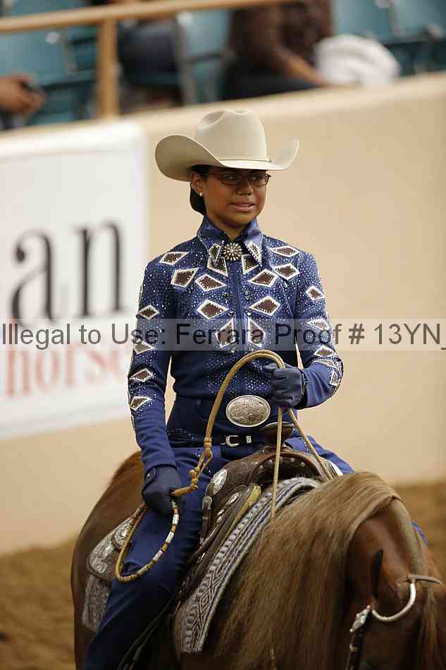 Proof Number 13yn_13190