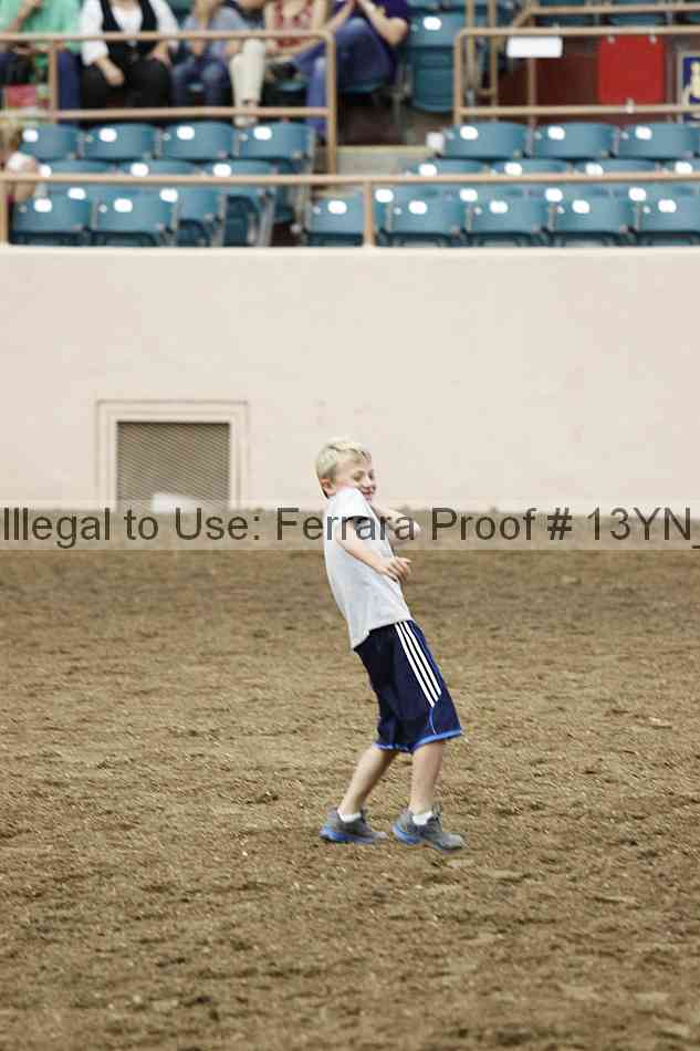 Proof Number 13yn_13248