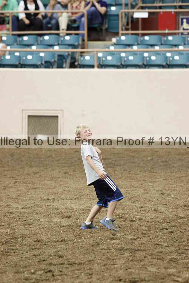 Proof Number 13yn_13251