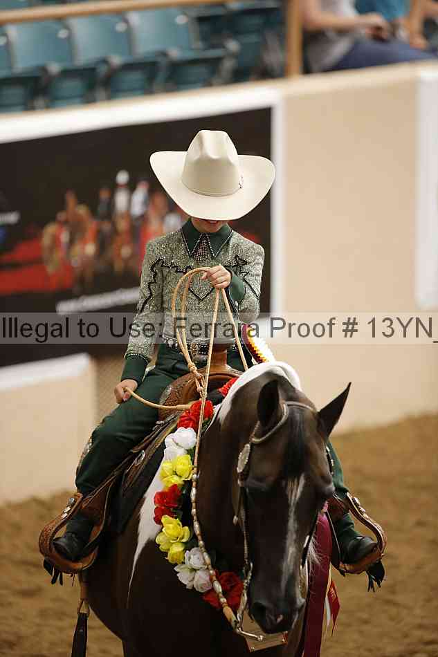Proof Number 13yn_13309