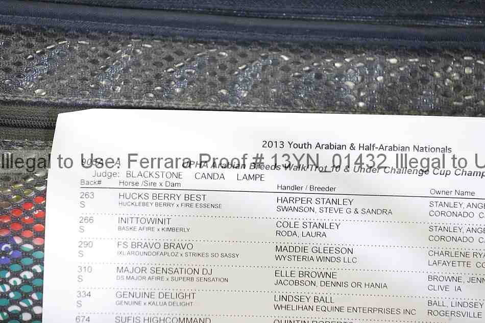 Proof Number 13yn_01432
