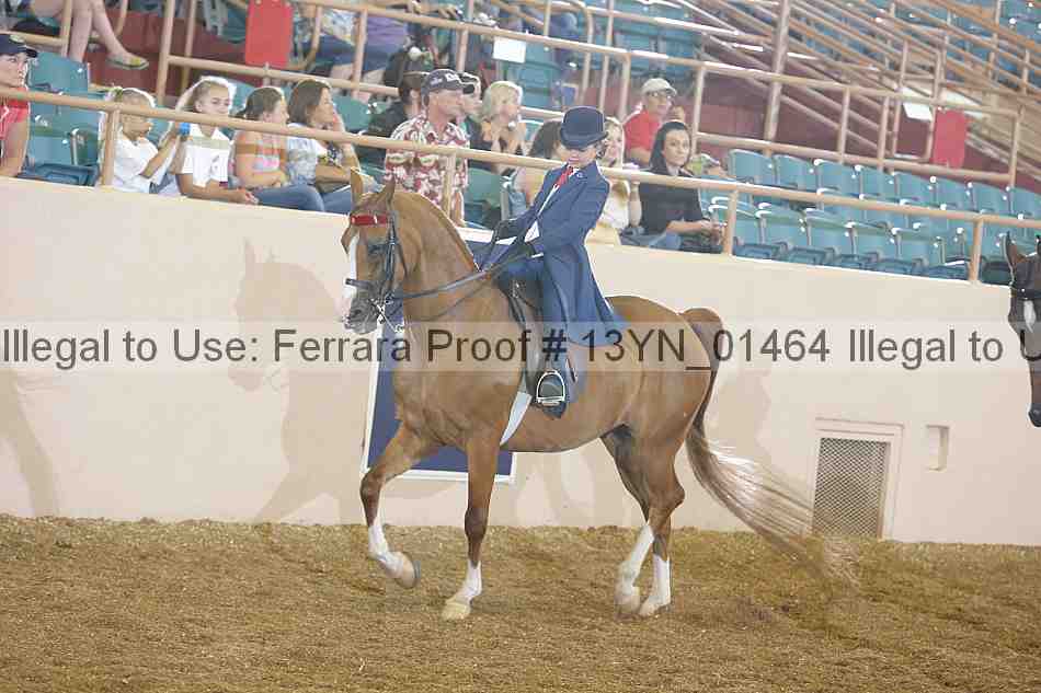 Proof Number 13yn_01464