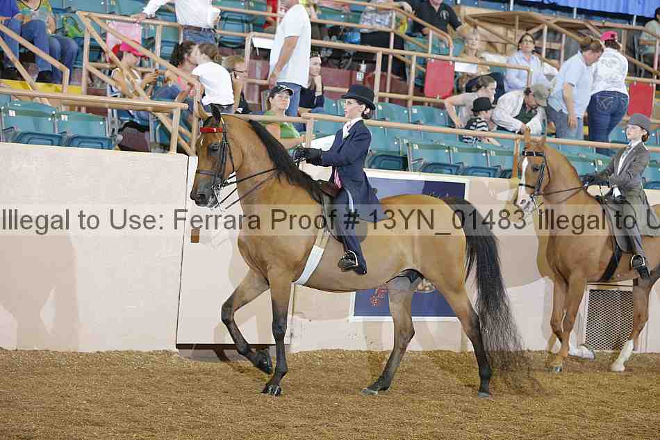 Proof Number 13yn_01483