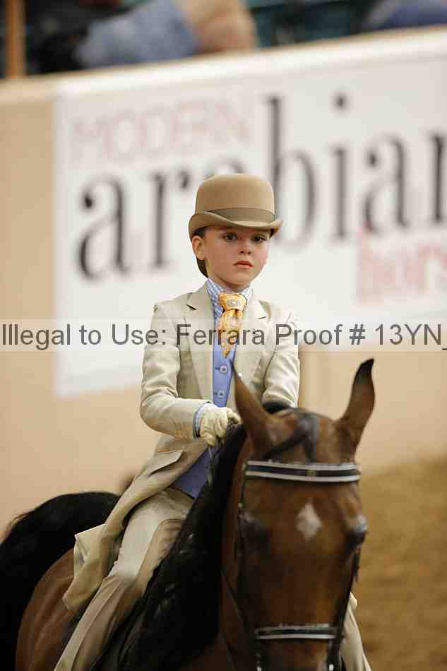 Proof Number 13yn_01531