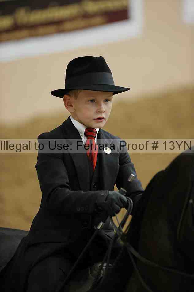 Proof Number 13yn_01539