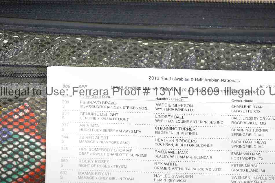 Proof Number 13yn_01809