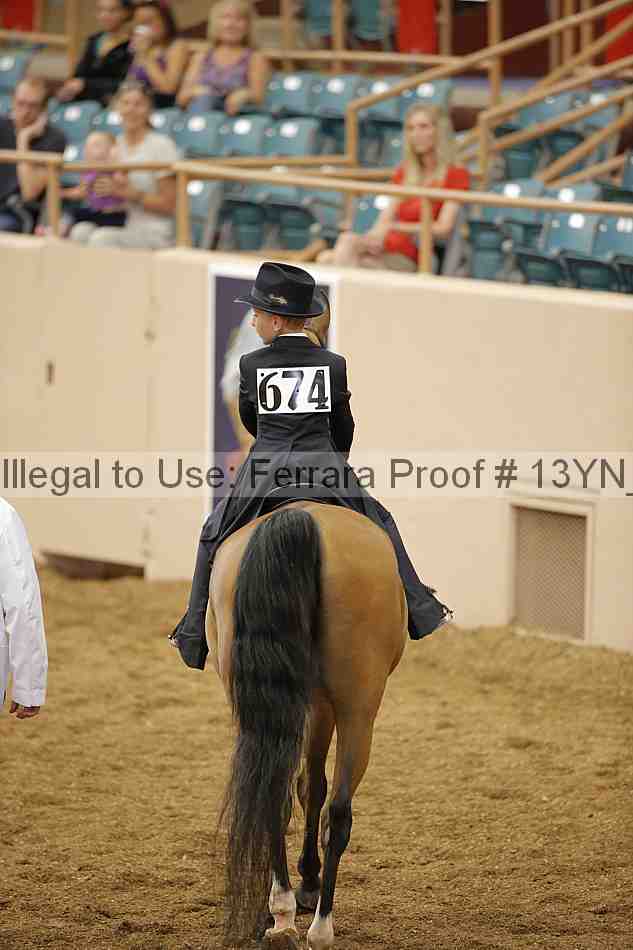 Proof Number 13yn_01875