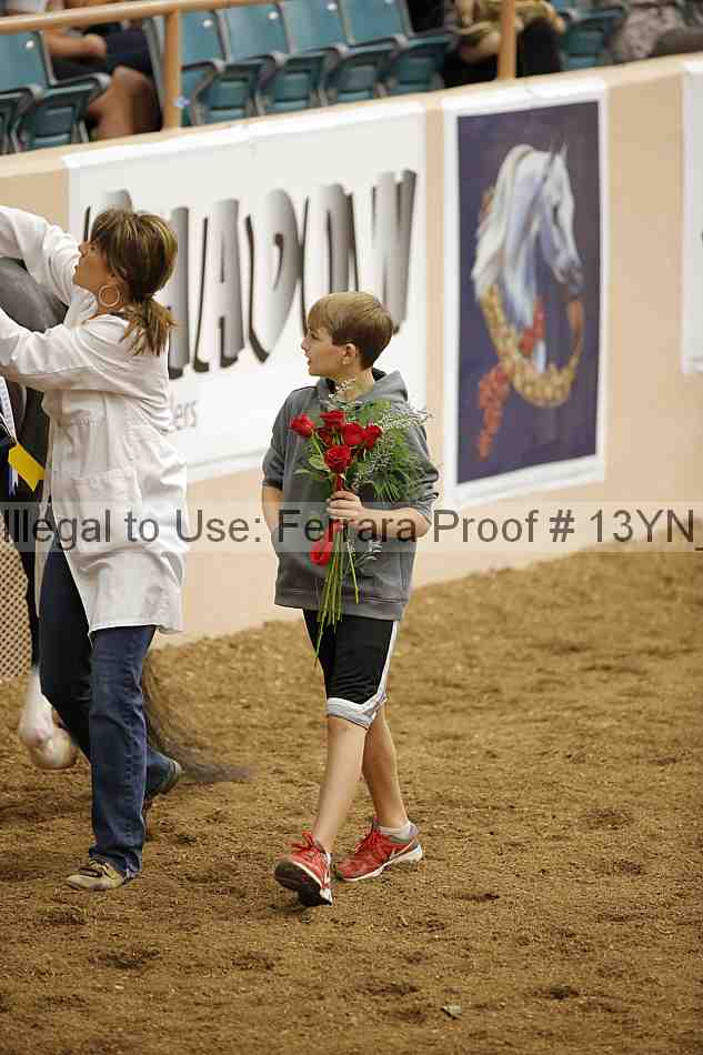 Proof Number 13yn_01900