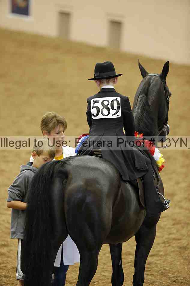 Proof Number 13yn_01904