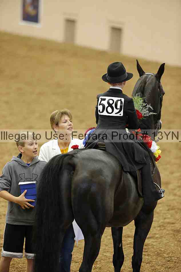 Proof Number 13yn_01905