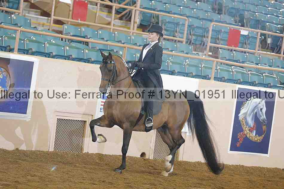 Proof Number 13yn_01951