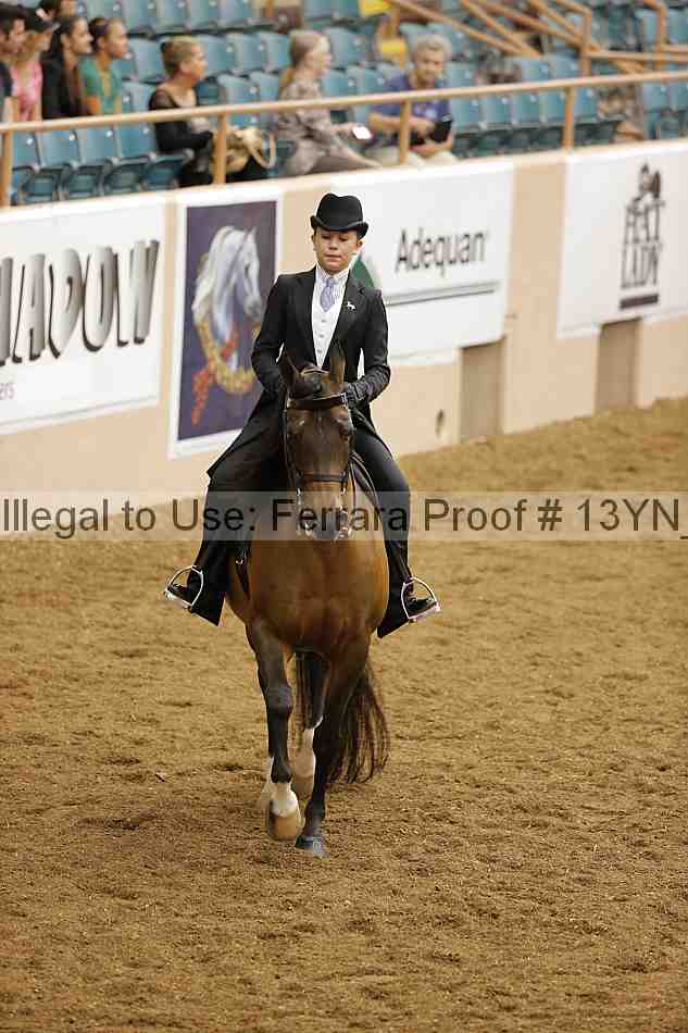 Proof Number 13yn_01956