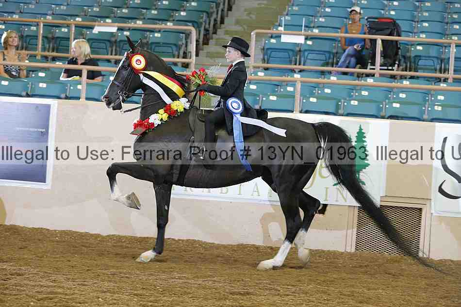 Proof Number 13yn_01963