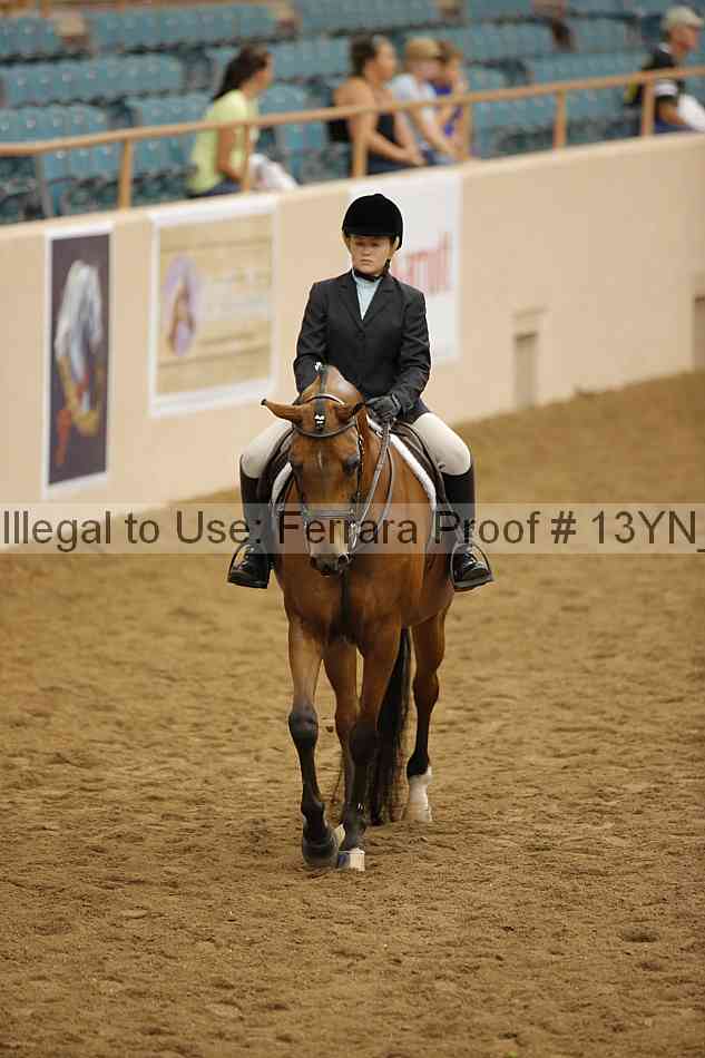 Proof Number 13yn_16251