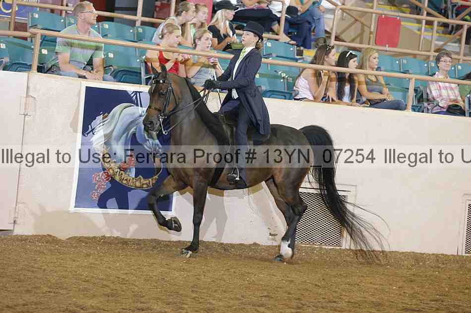 Proof Number 13yn_07254