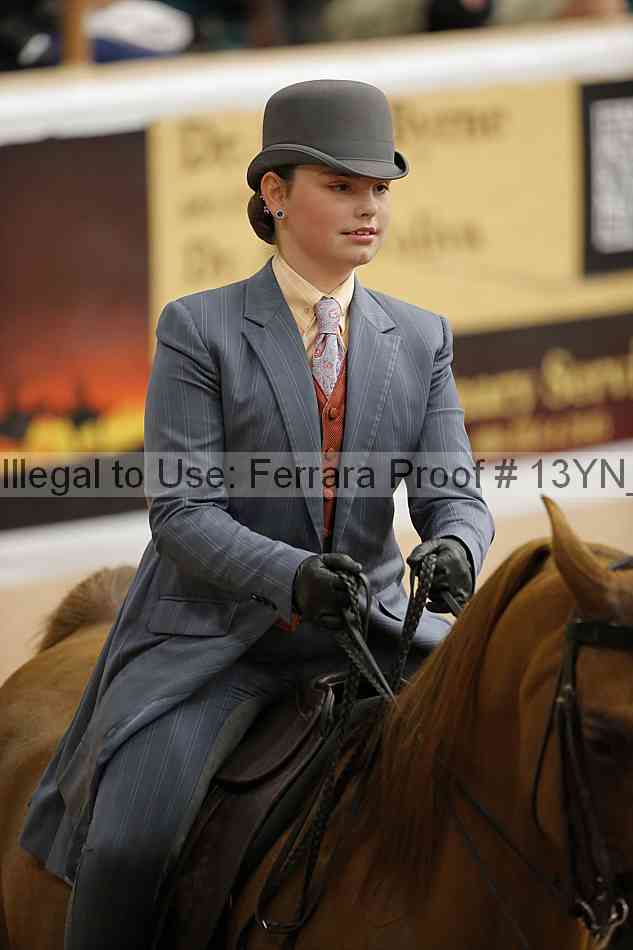 Proof Number 13yn_09676