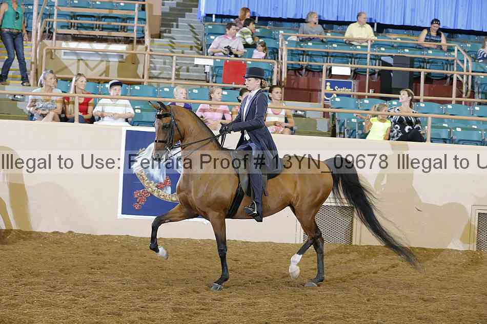 Proof Number 13yn_09678