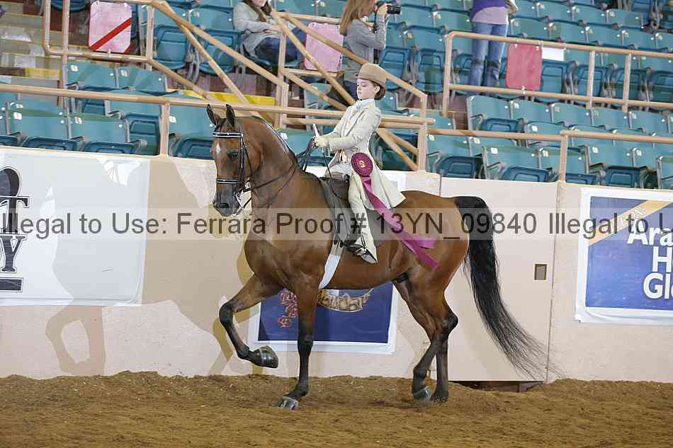 Proof Number 13yn_09840