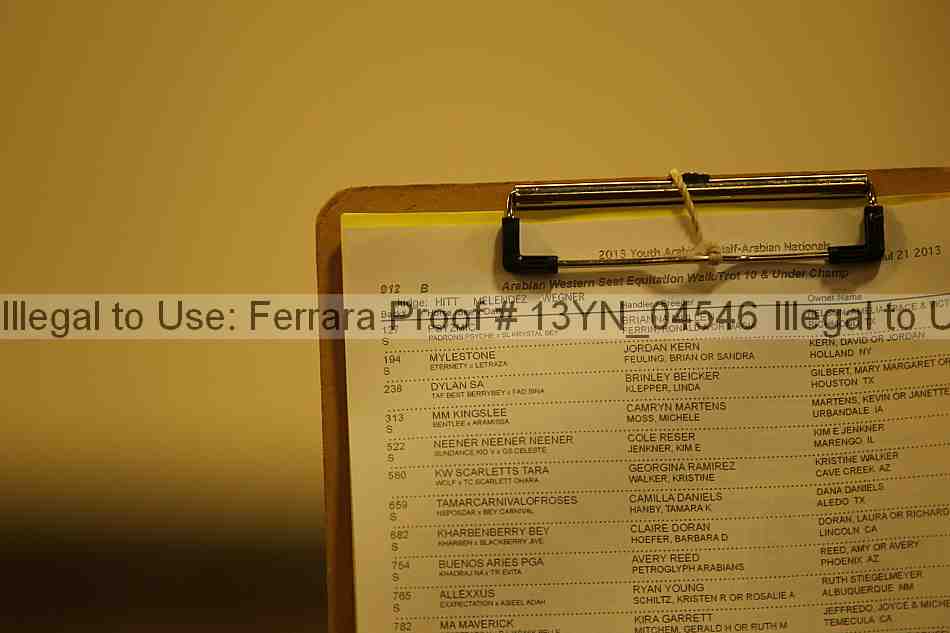 Proof Number 13yn_04546