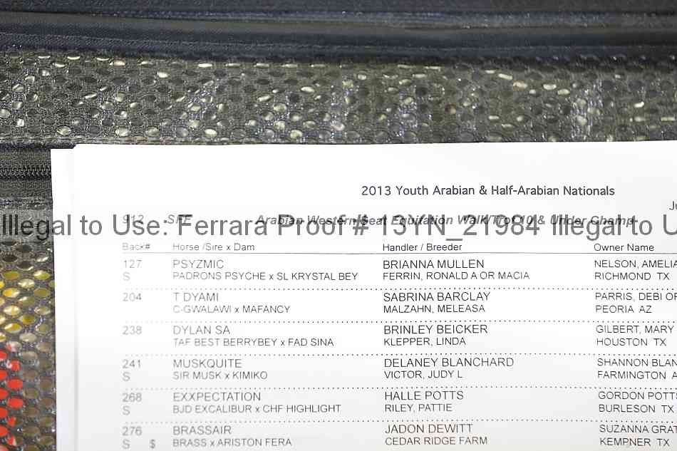 Proof Number 13yn_21984