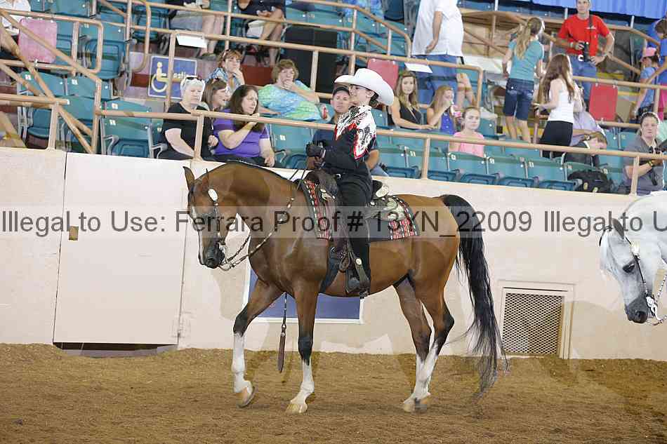 Proof Number 13yn_22009