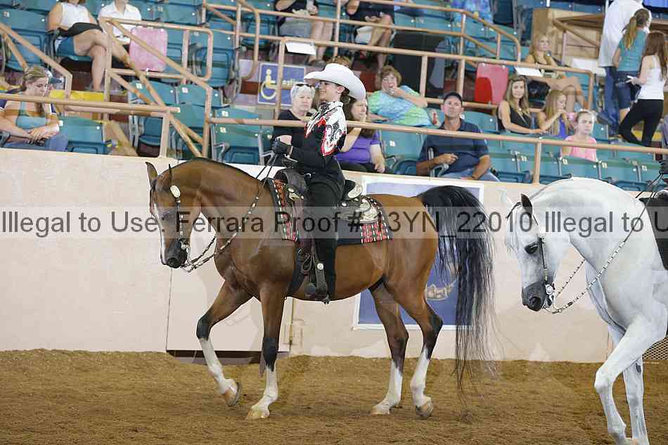 Proof Number 13yn_22010