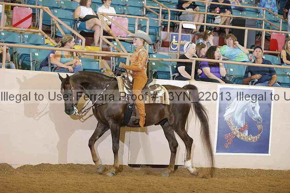 Proof Number 13yn_22013